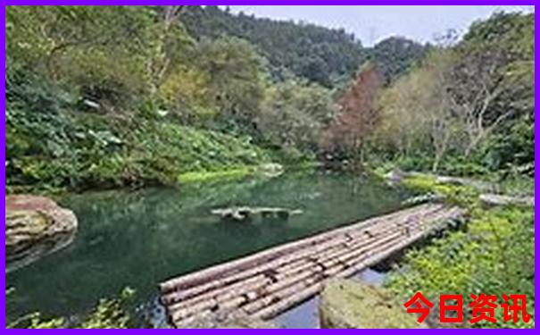 贵州五天四晚旅游